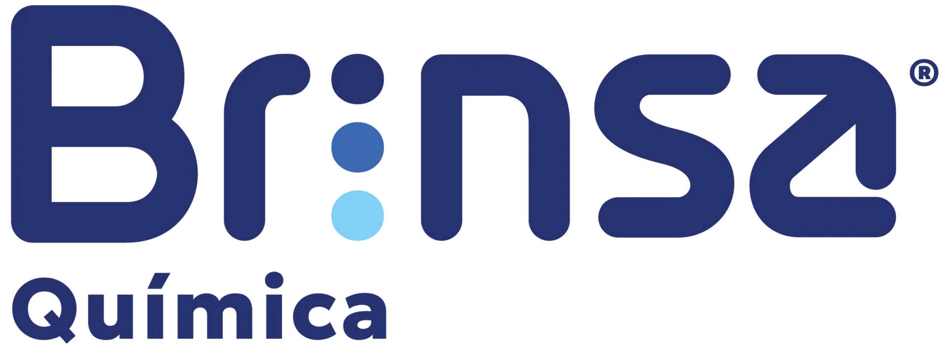 Logo Brinsa Quimica_0